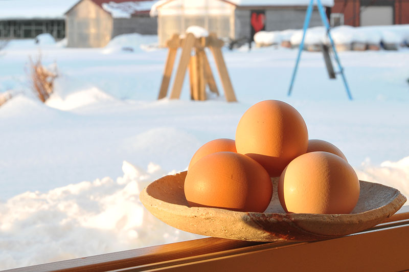 雪景色の中の大寒卵
