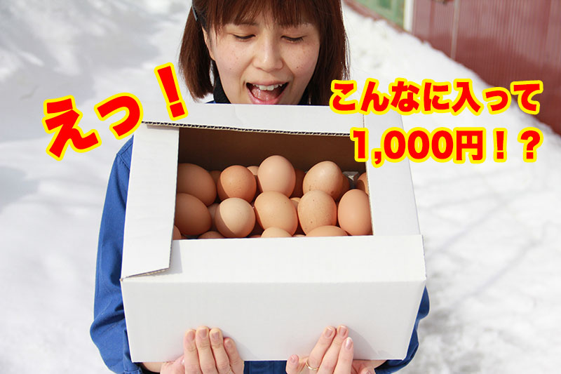 お得な訳あり卵1,000円