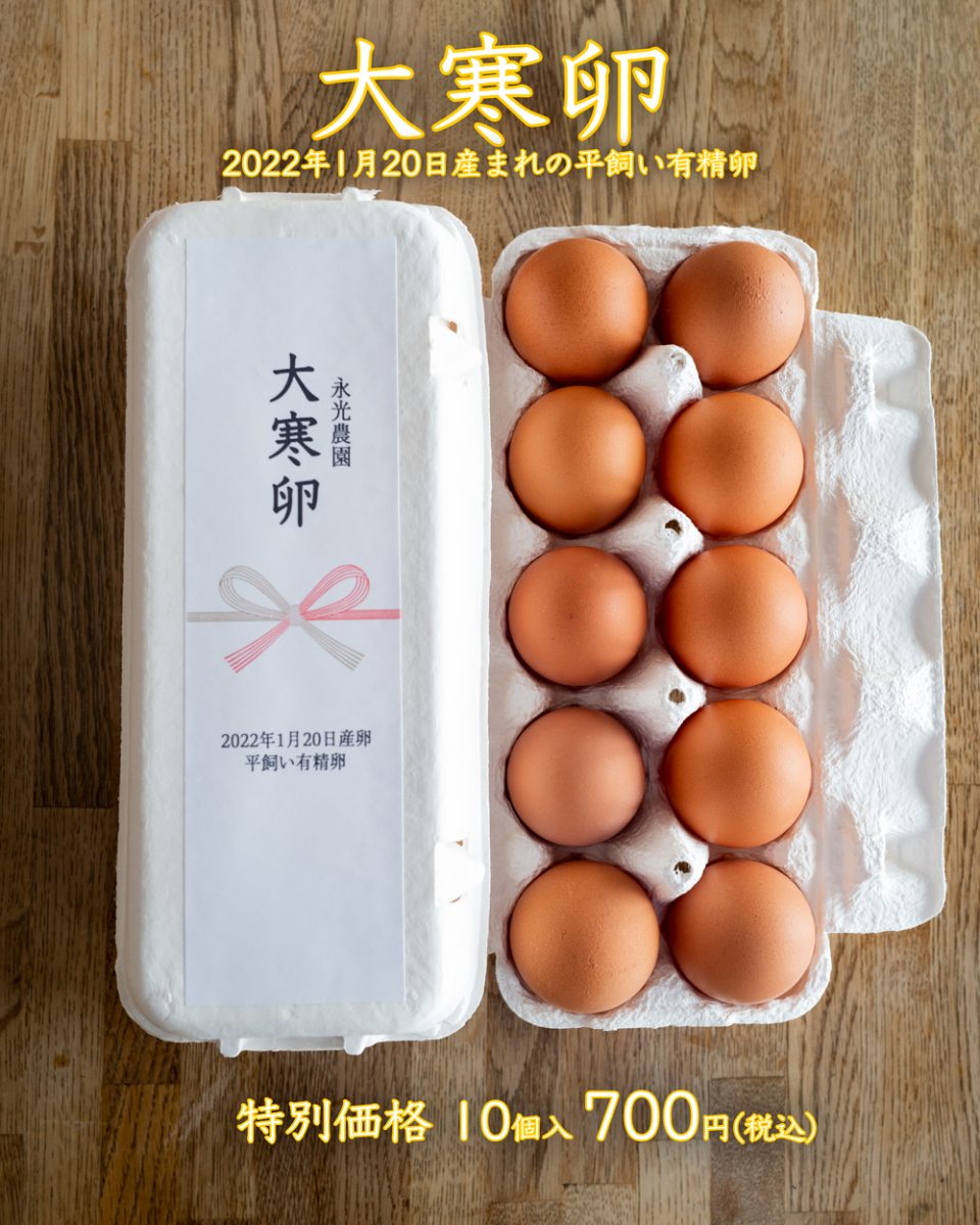 tamago様お取り置き12/8 tamago様お取り置き8月